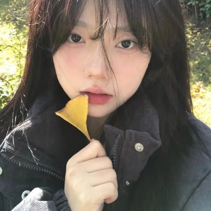 双峰：遗失的碎片